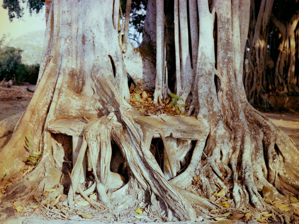 Laura Quiñonez, « Sans titre » (série Accidentes Geo-graficos), photographie numérique, 2015-2020. © Laura Quiñonez