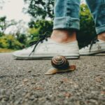 LENT COMME L’ESCARGOT, RAPIDE COMME UN GUÉPARD, N’Y A-T-IL PAS UN TEMPS À SOI ?